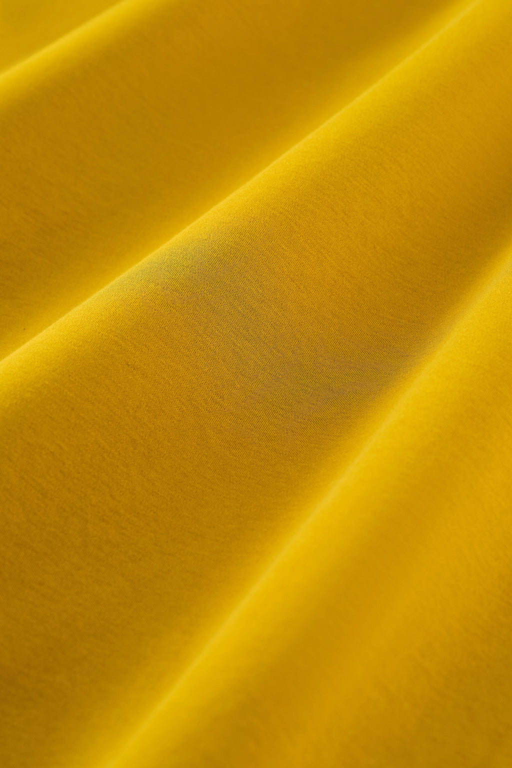 Polo Manches Longues | Jaune Palmier PT0839